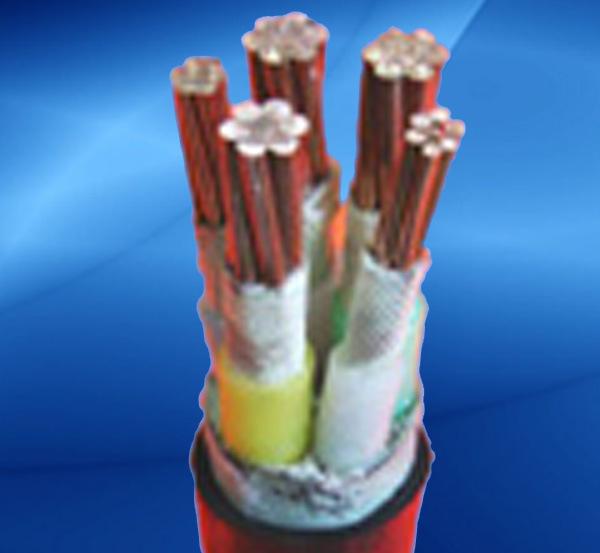 天津石榴视频色版線纜耐火電力電纜NH-VV NH-YJV ...